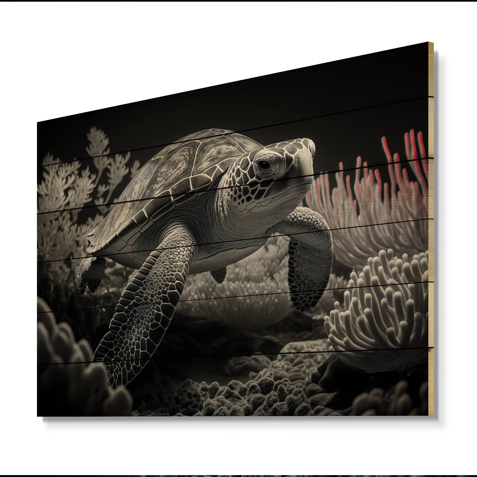 Designart 'Black And White Deep Sea Turtle' Animals Turtle Wood Wall