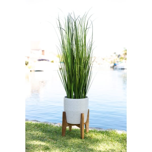 slide 2 of 9, 50" Onion Grass in 10" Cathedral Ceramic Pot