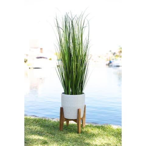 50" Onion Grass in 10" Cathedral Ceramic Pot