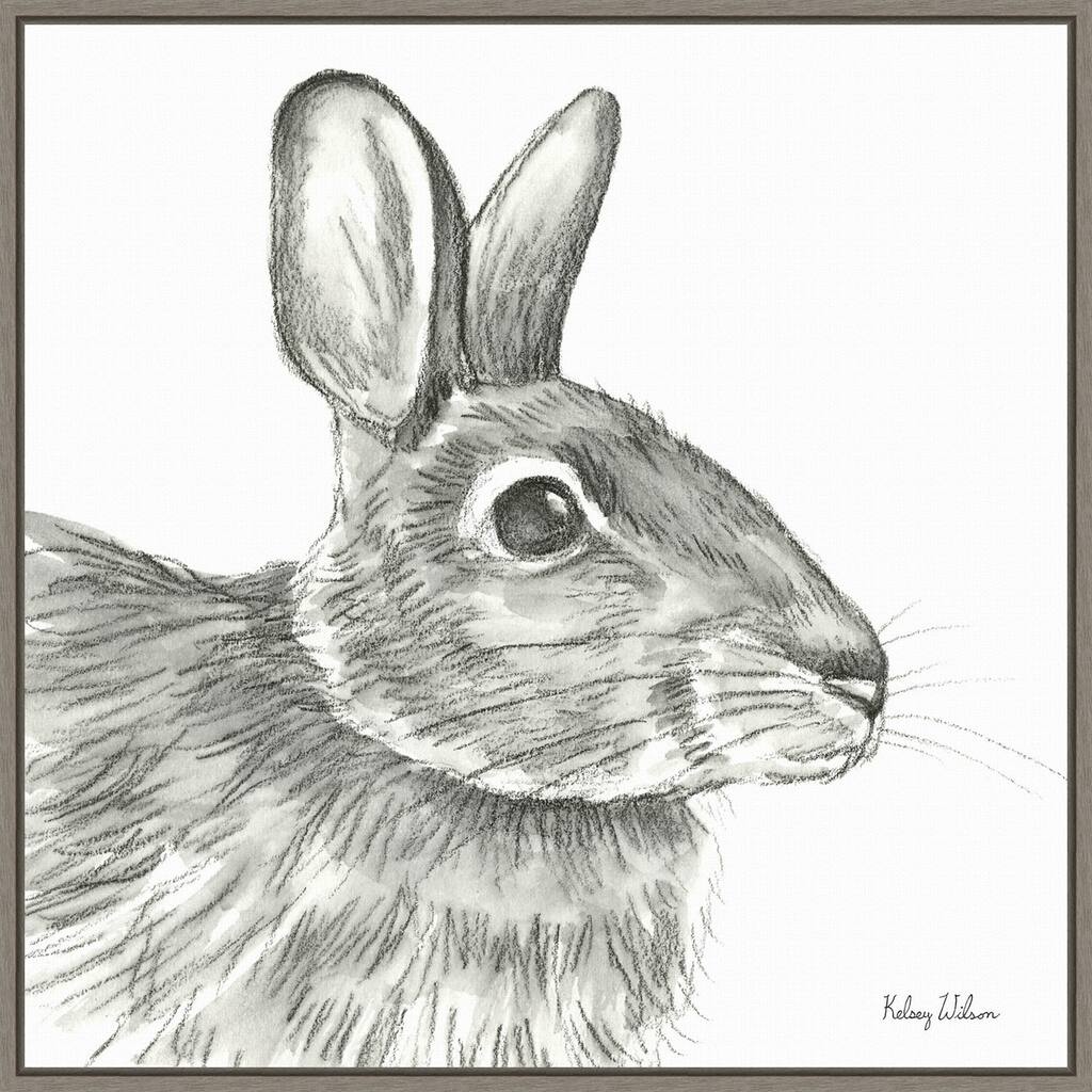 Watercolor Pencil II Rabbit by Kelsey Wilson Framed Canvas Wall Art Print
