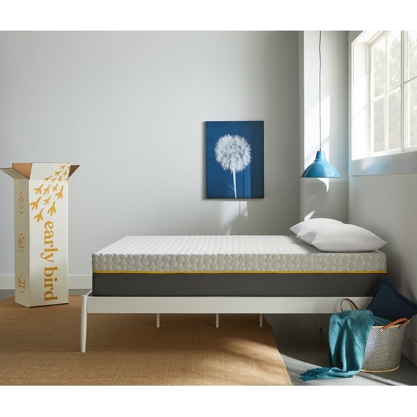 Shop 12 Inch Memory Foam And Innerspring Support Hybrid Mattress Plush On Sale Overstock 28302253