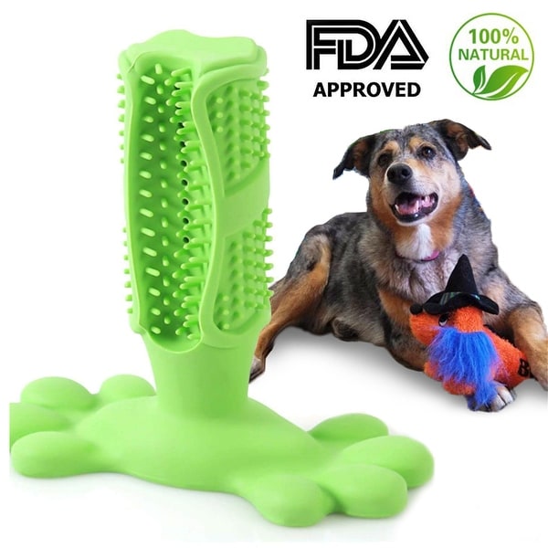 dog toothbrush chew toy