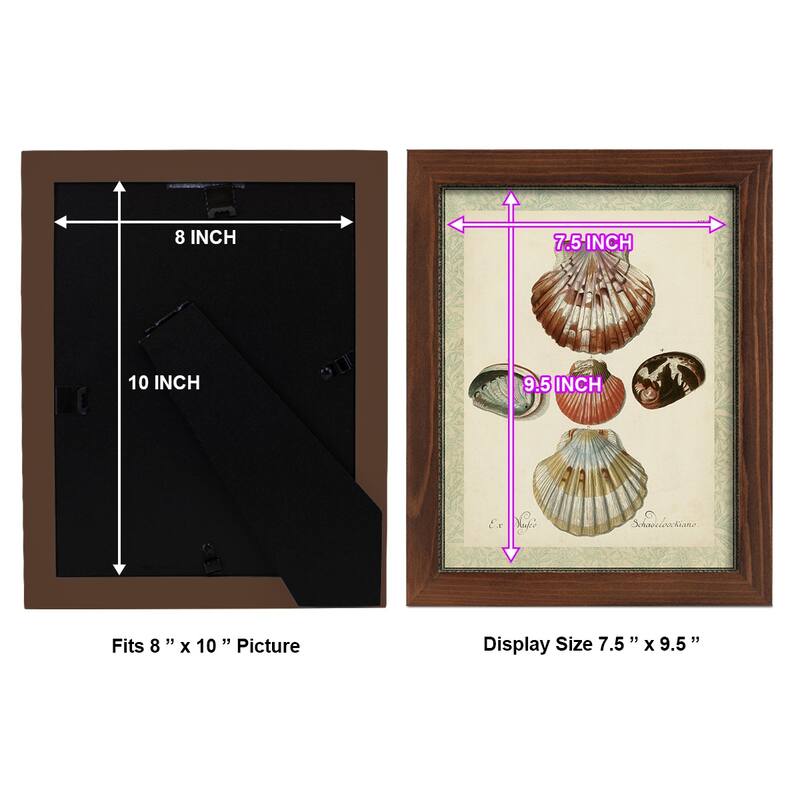 Bookplate Shells III -Framed Print w/glass-Cherry Red