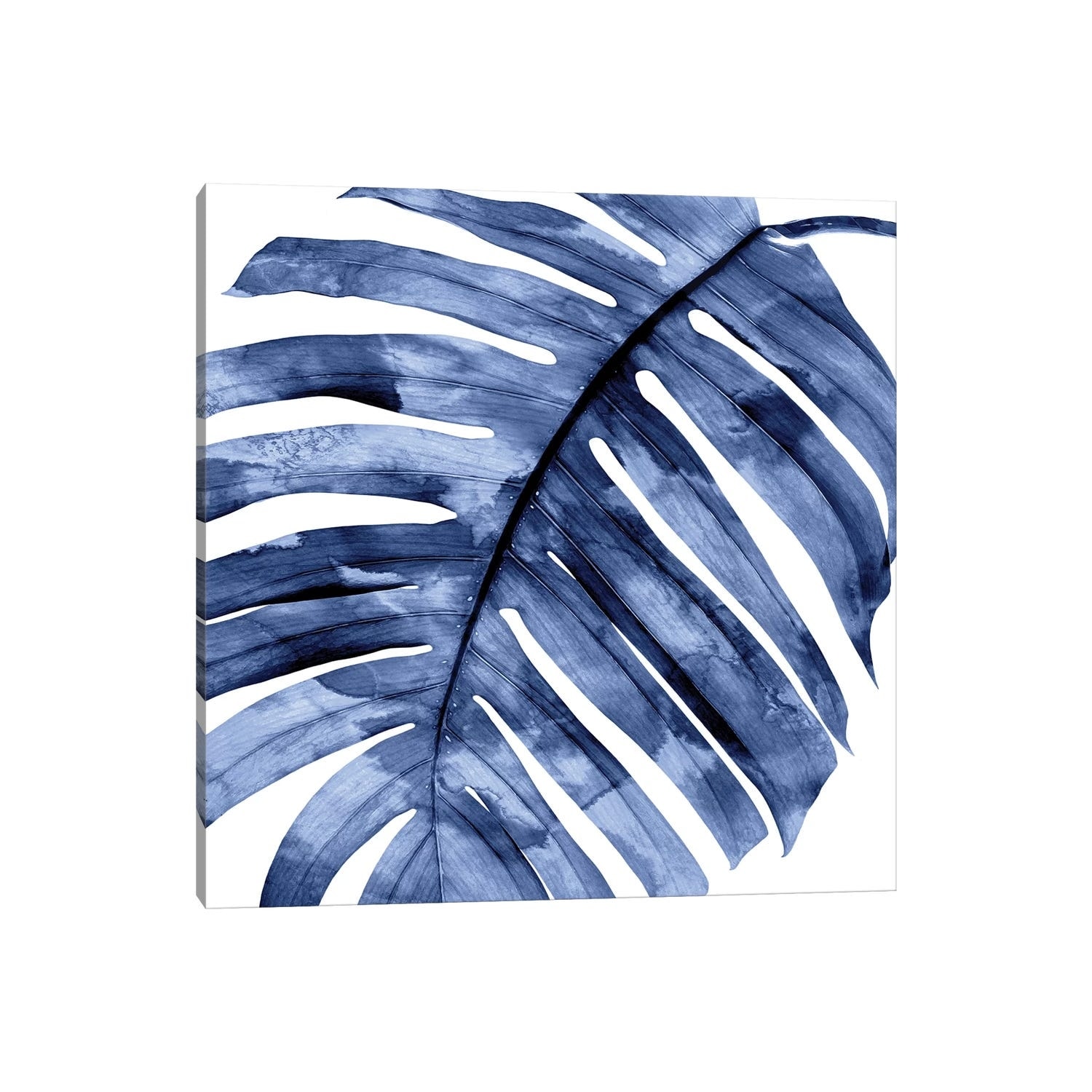 iCanvas "Indigo Palm, Close-Up II" by Melonie Miller Canvas Print