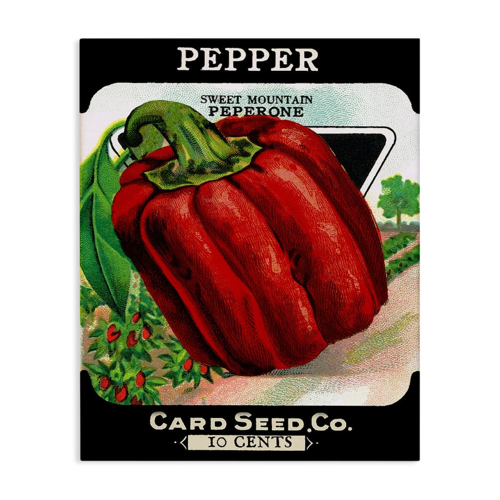 Stupell Vintage Garden Peppers Canvas Wall Art Design By Lil' Rue