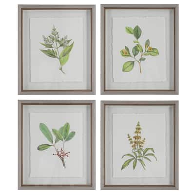 Uttermost Wildflower Study Framed Prints, S/4 - 19 W x 22 H x 1.75 D (inches)