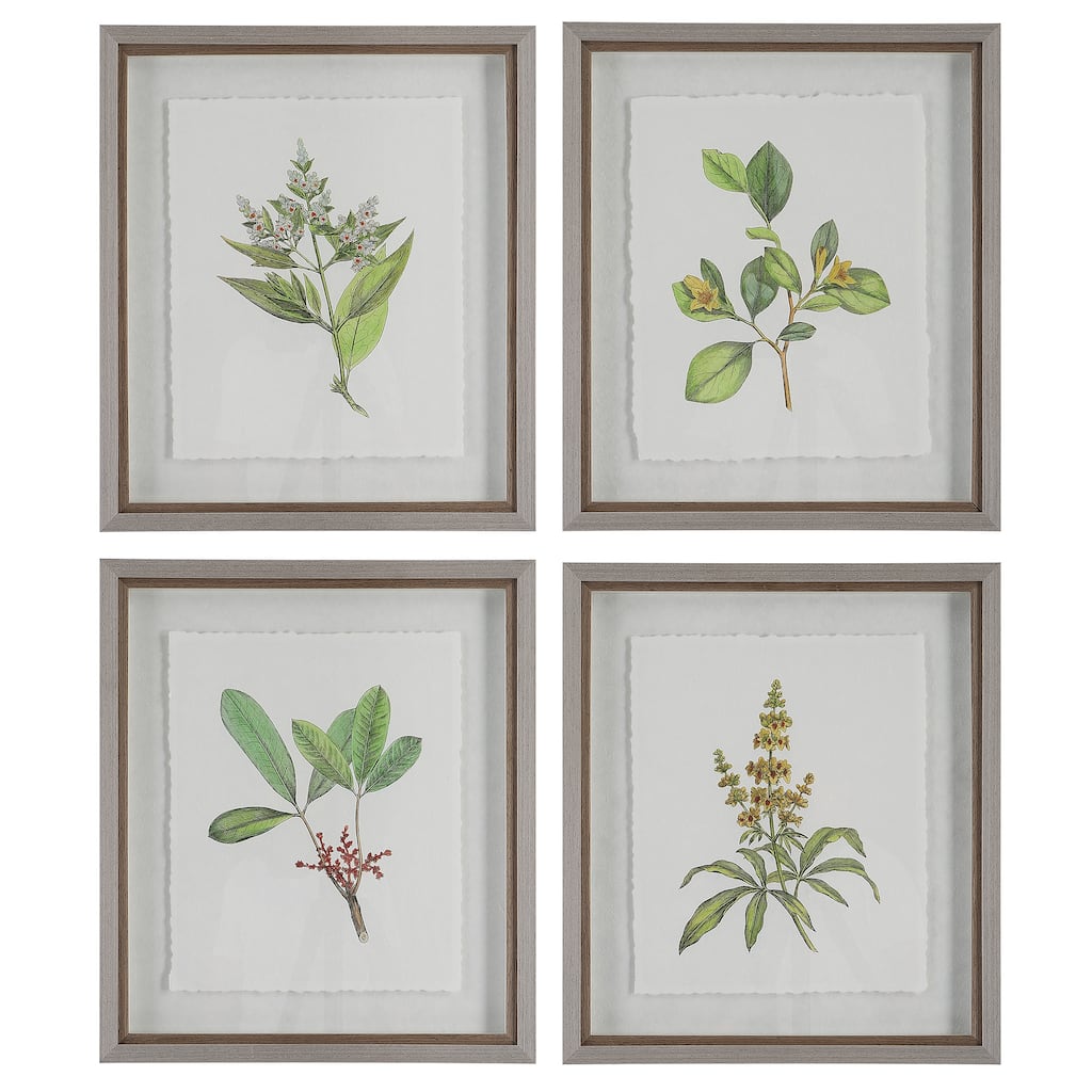Uttermost Wildflower Study Framed Prints, S/4 - 19 W x 22 H x 1.75 D (inches)