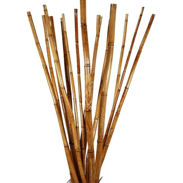 River Cane Honey, 4.5ft tall,10 sticks. - 55