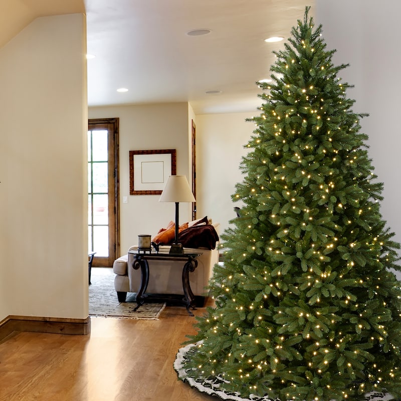 National Tree Company 9 ft. Feel Real Jersey Fraser Medium Fir Hinged Tree, 1500 Clear Lights - 9 Foot - 9 Foot - Green