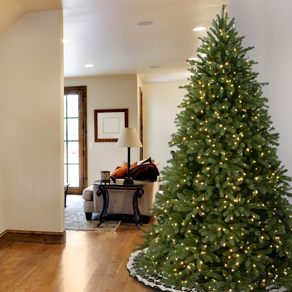National Tree Company 9 ft. Feel Real Jersey Fraser Medium Fir Hinged Tree, 1500 Clear Lights - 9 Foot