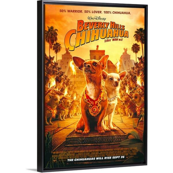 beverly hills chihuahua 1