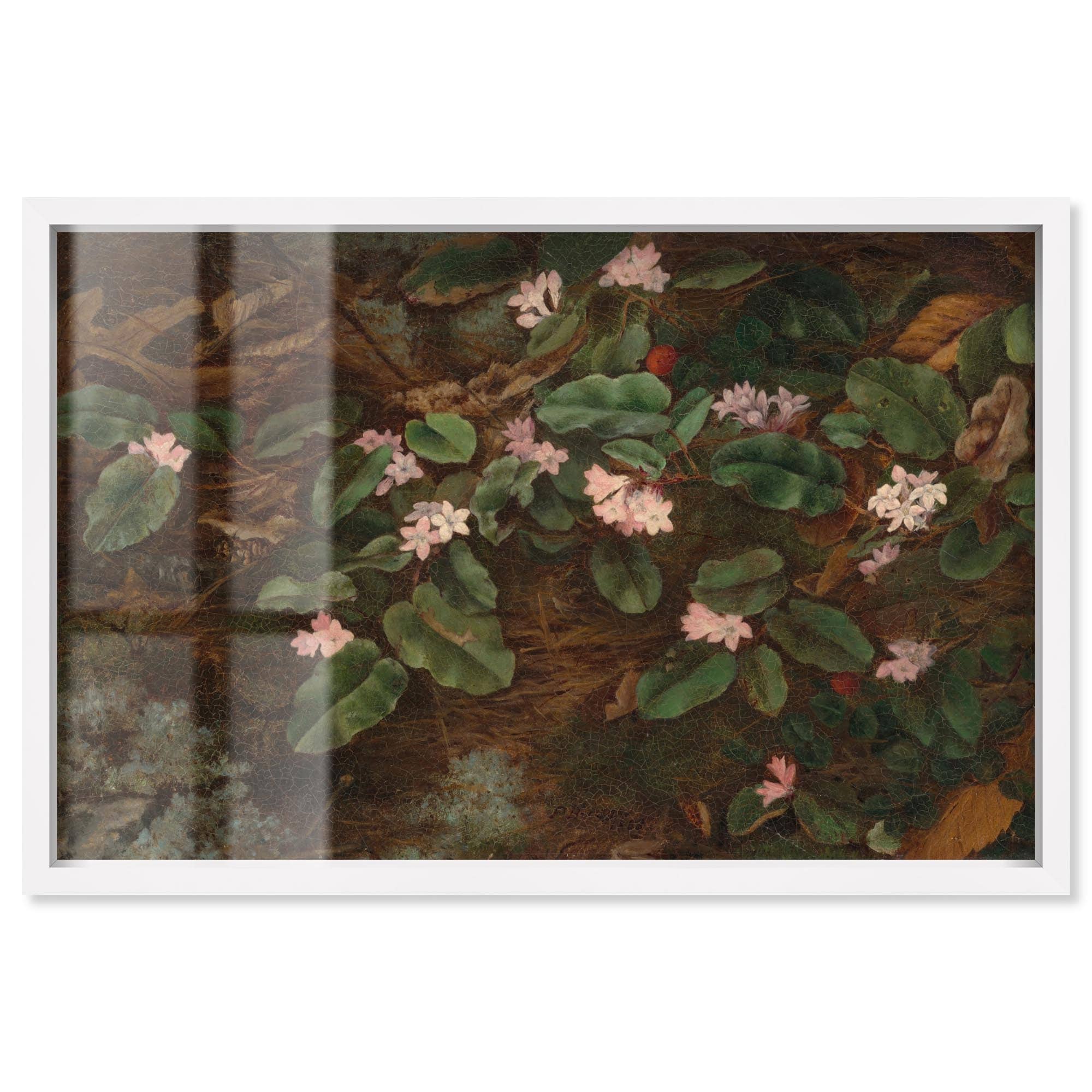 Vision of the Forest Vintage Decor Shadowbox Print by Art Remedy
