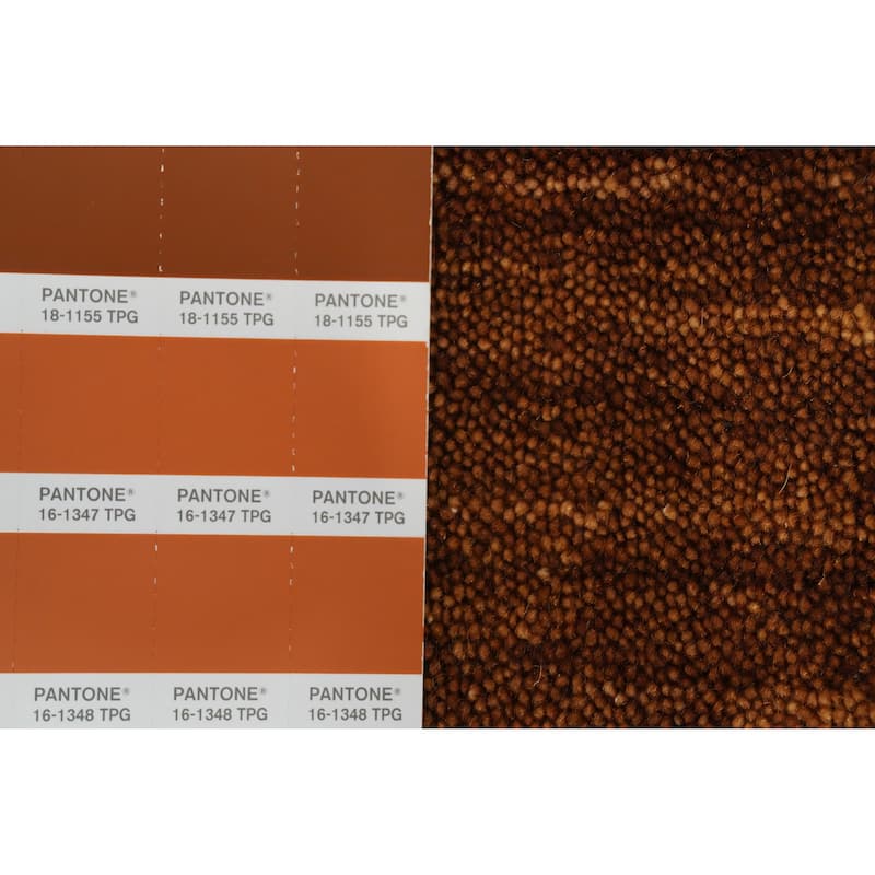 Hand Knotted Oriental 100% Wool Carpet Tribal Animal Pictorial Brown Gabbeh Area Rug - 8' 0'' X 8' 3''