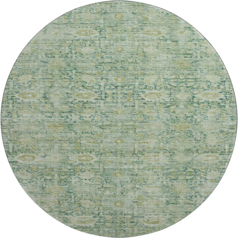 Premium Washable Super Soft Vintage Traditional Mayfield Rug