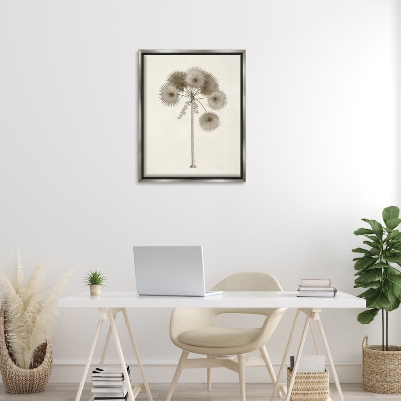 Stupell Vintage Study of Palm Tree Framed Floater Canvas Wall Art Design By Phillipa Katz
