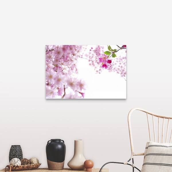 Shop Cherry Blossoms Canvas Wall Art Free Shipping Today