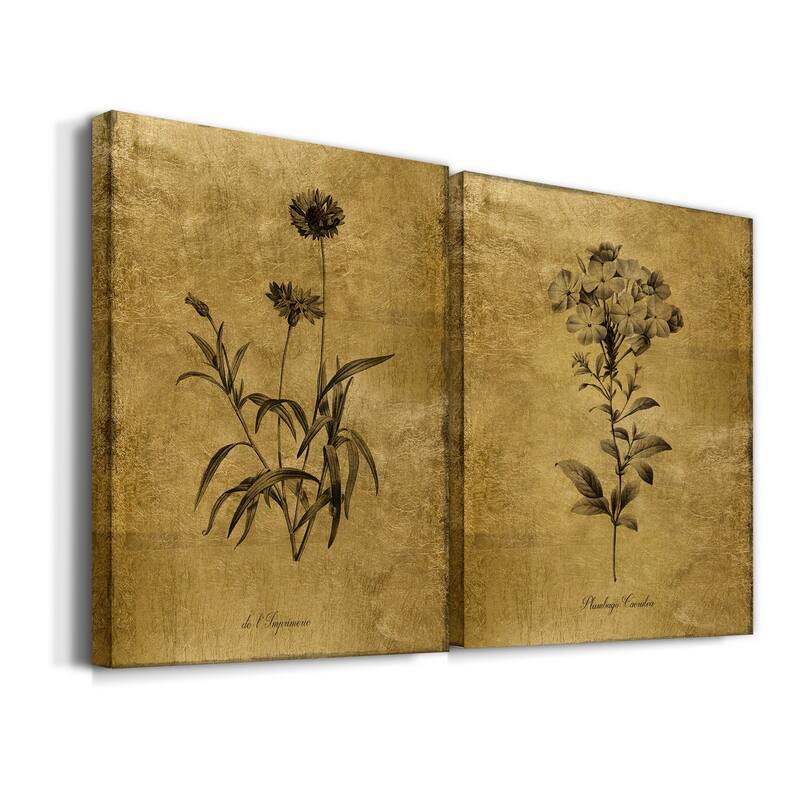Gold Sketch Botanical I Premium Gallery Wrapped Canvas - Ready to Hang