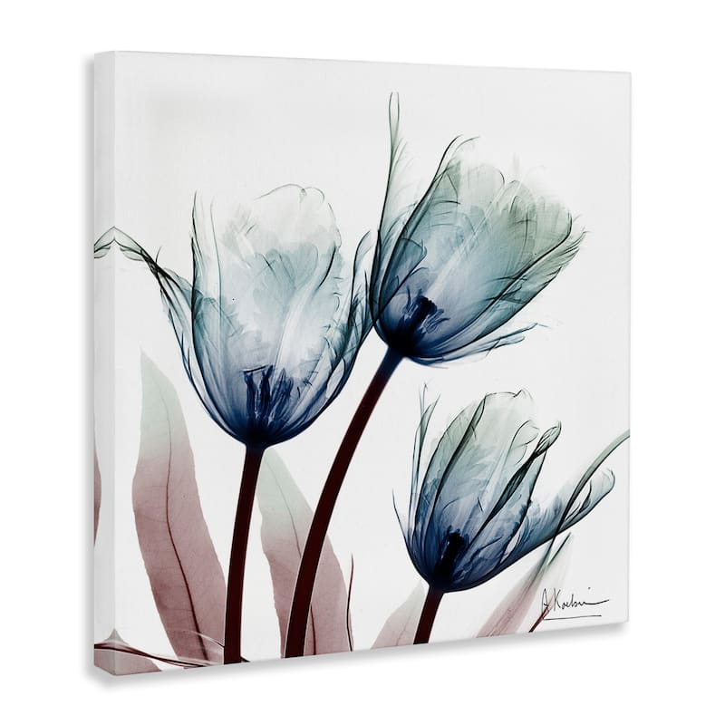 Stupell Translucent Tulip Bulbs Canvas Wall Art Design By Albert Koetsier