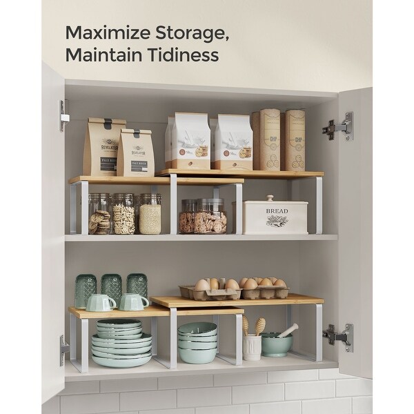 Small counter shelf 2025
