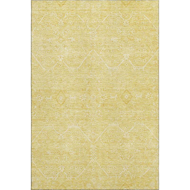 Premium Washable Super Soft Traditional Global Mayfield Rug