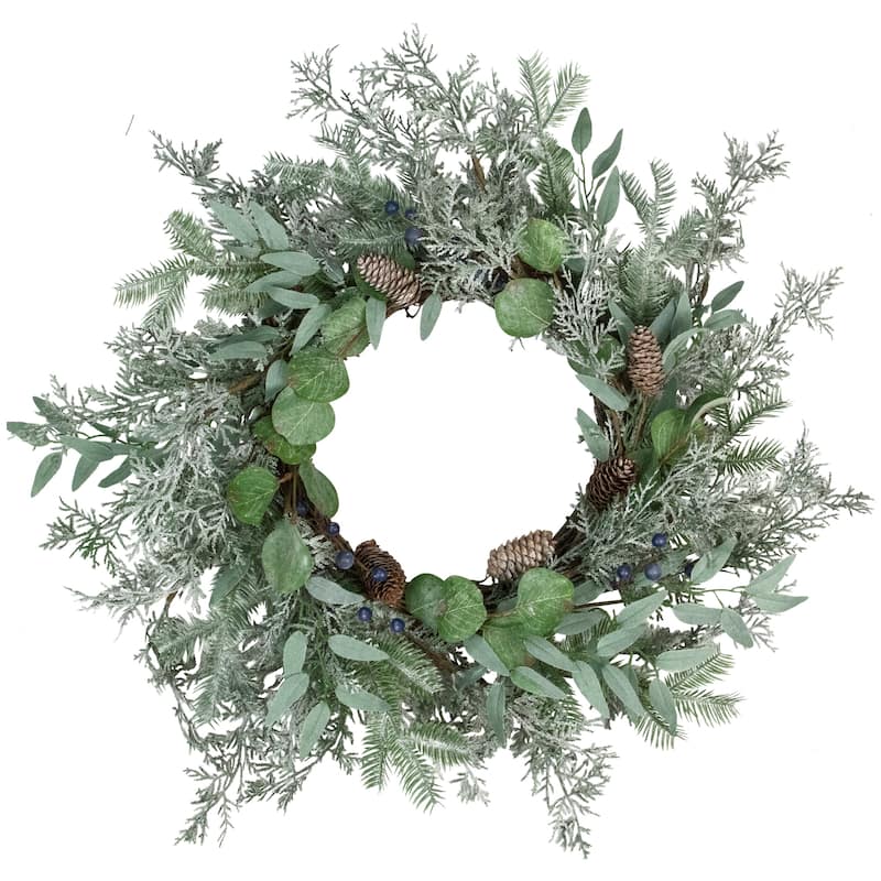 Frosted Green Mixed Foliage and Blueberries Artificial Christmas Wreath 26-Inch Unlit - 26"