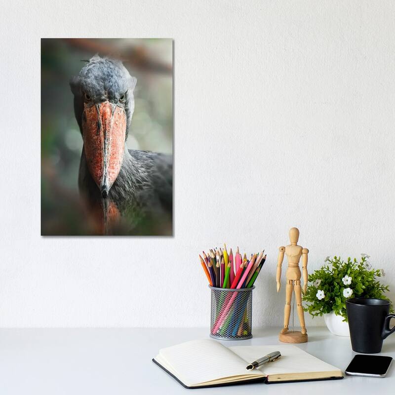 iCanvas "The Shoebill" by Zenja Gammer Canvas Print - 12x8x0.75