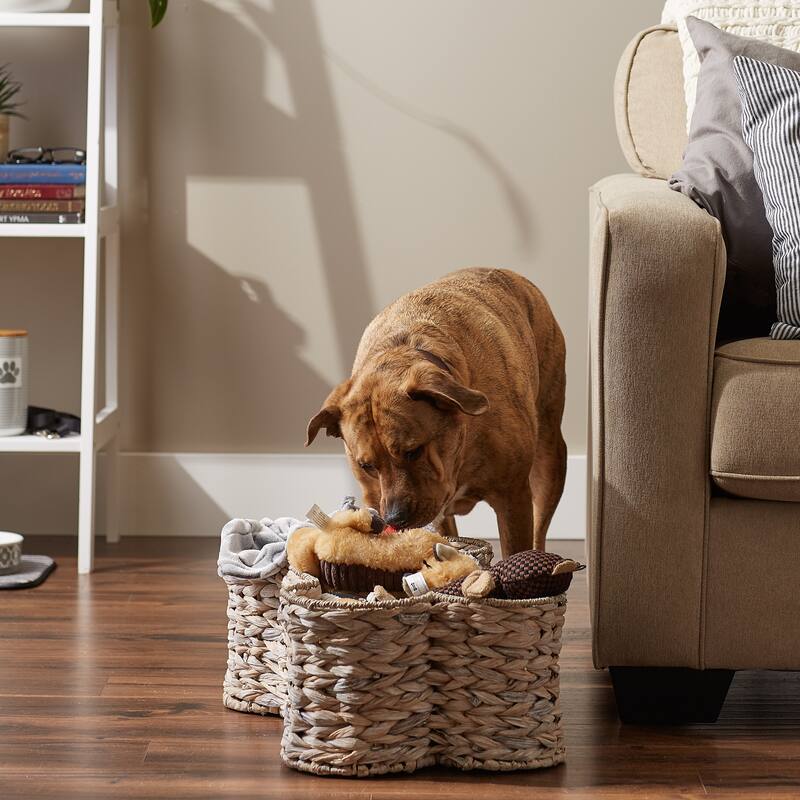 Bone Dry White Wash Hyacinth Bone Pet Basket Large 24x15x9