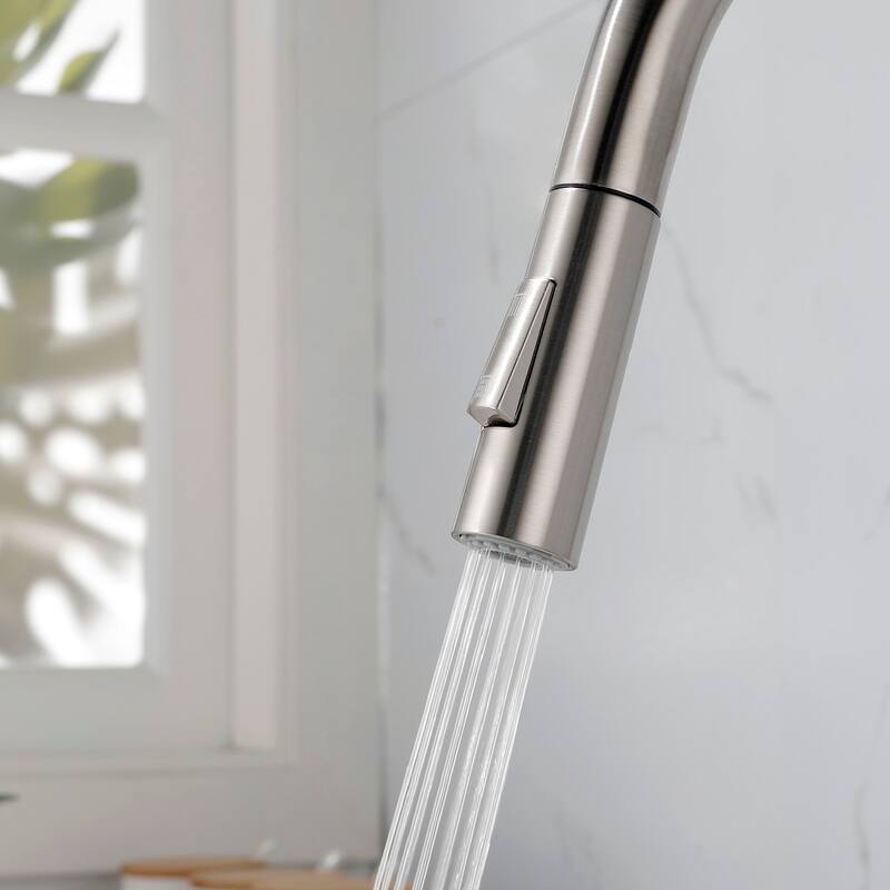 2-Function 1-Handle Pulldown Kitchen Faucet