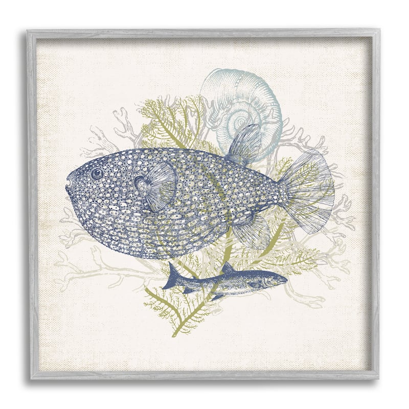 Stupell Aquatic Sea Life Rustic Seashell Layered Fish Framed Wall Art, Design by Victoria Barnes - 12 x 12 - Grey
