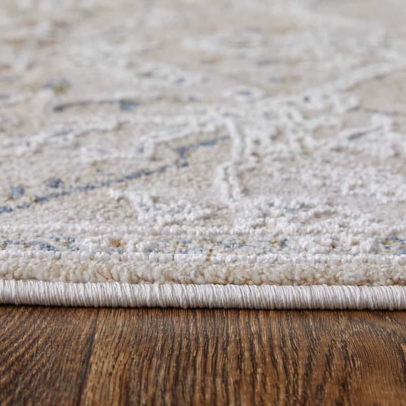 Grand Bazaar Hyannis Machine Made Distressed Transitional Area Rug