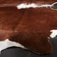 SAFAVIEH Handmade Cow Hide Lorean Cabin & Lodge Leather Rug