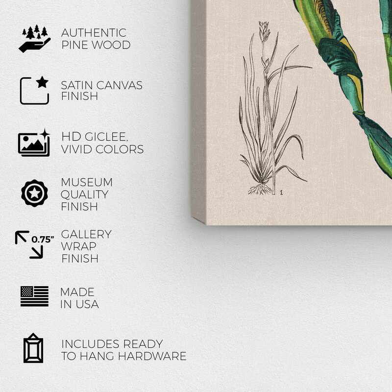 Wynwood Studio Canvas Floral and Botanical Floral Diagram III Brown and Traditional Wall Art Canvas Print