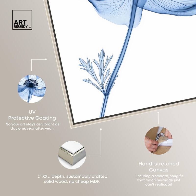Floral Radiograph Canvas by Art Remedy