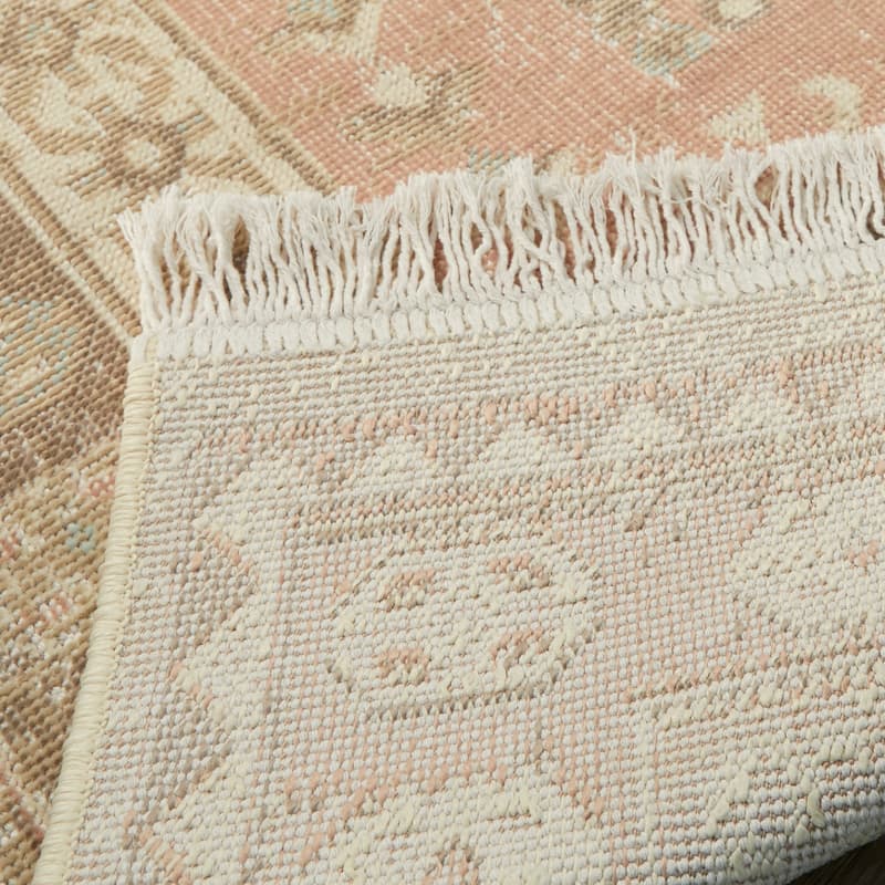 Windsor Traditional Distressed Recycled Area Rug