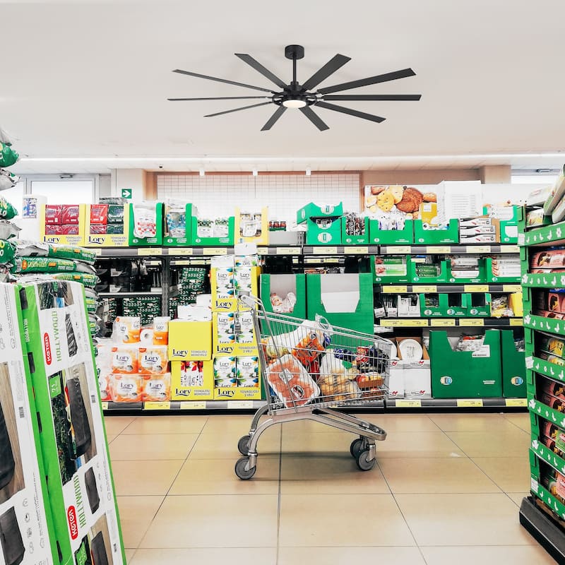 72"/80" Large Windmill Ceiling Fan with Light and Remote(10 Reversible Blades)