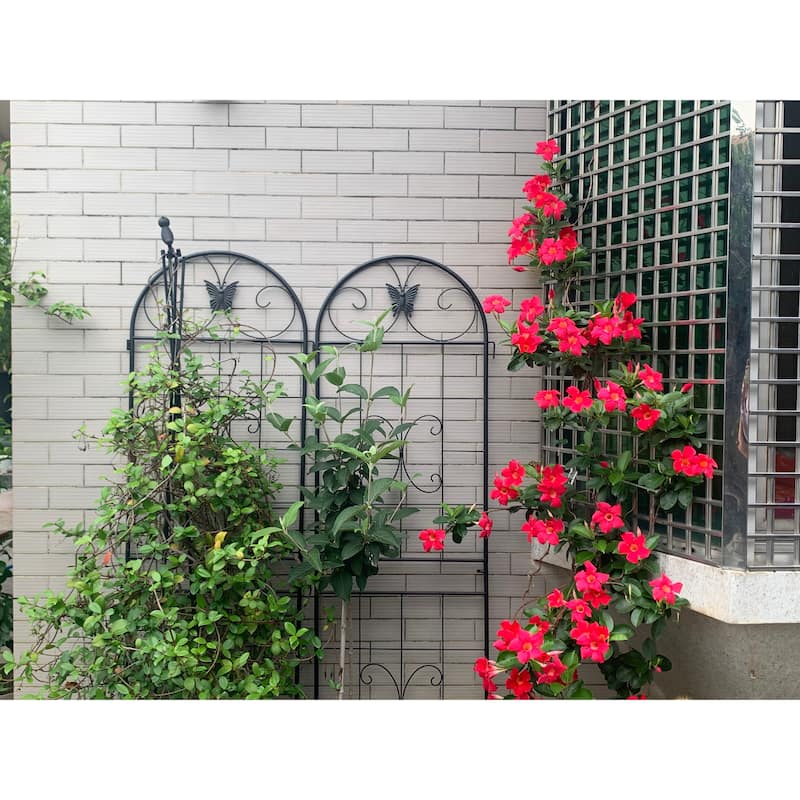 Metal Garden Trellis, 2 Pack Metal Trellis for Climbing Plants, Indoor/Outdoor Plant Trellis, Lawn Garden Fence Decor Screen