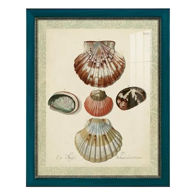 Bookplate Shells III -Framed Print w/glass-Cherry Red
