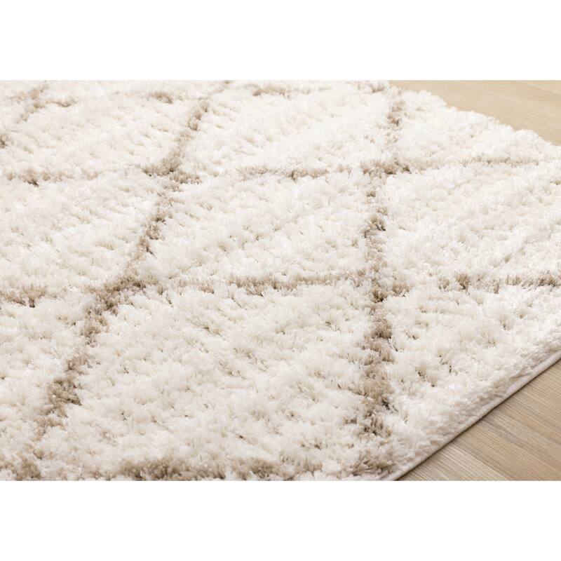 Soft Neutral Trellis Shag Area Rug in Cream Beige