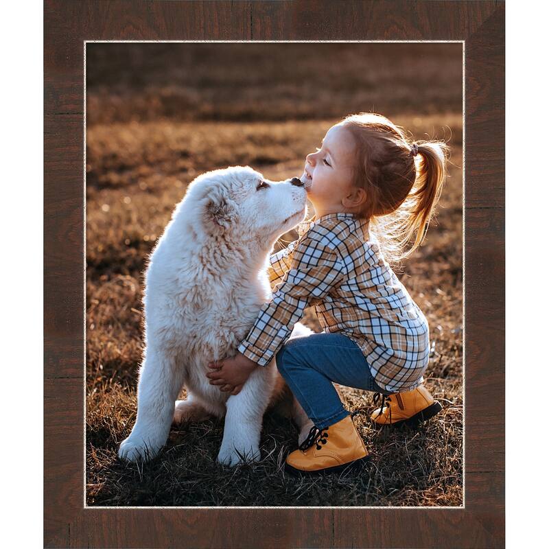 Wildwood Brown Narrow Framed Picture Frame, Photo Frame - 18x22