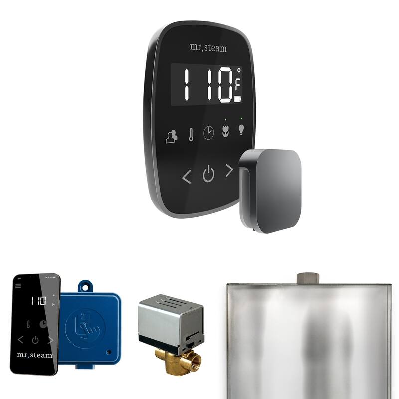 Mr Steam BF Butler Flex Package Steam Shower Control Package with - Black / Satin Steel