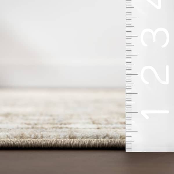 dimension image slide 0 of 3, Nuloom Vanesa Transitional Medallion Fringe Area Rug