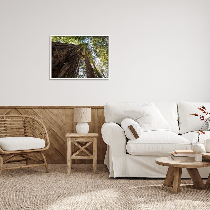 Stupell Tall Trees Looking Upwards Nature Forest Photography Framed Wall Art