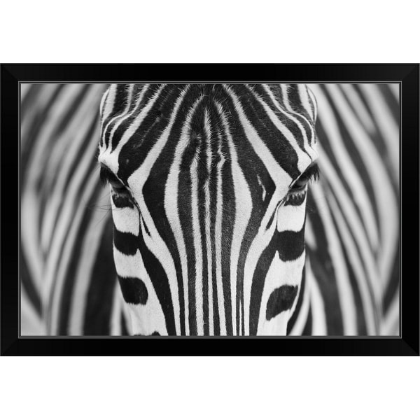 "Zebra" Black Framed Print