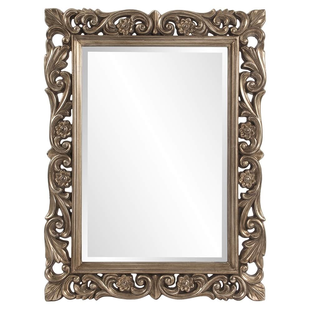Allan Andrews Ornate Framed Beveled Rectangular Wall Mirror - Champagne/Silver