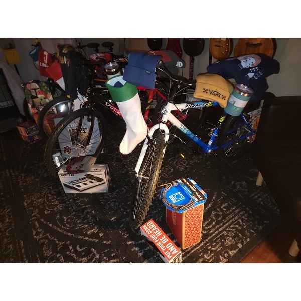 Titan pioneer mountain bike online