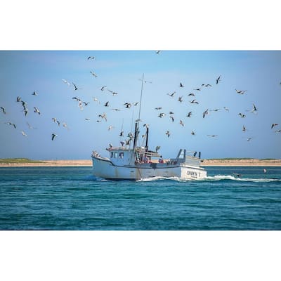 Fishing Boat with Seagulls Waiting for Food by Wayne Collamore Art Poster - Print On Demand