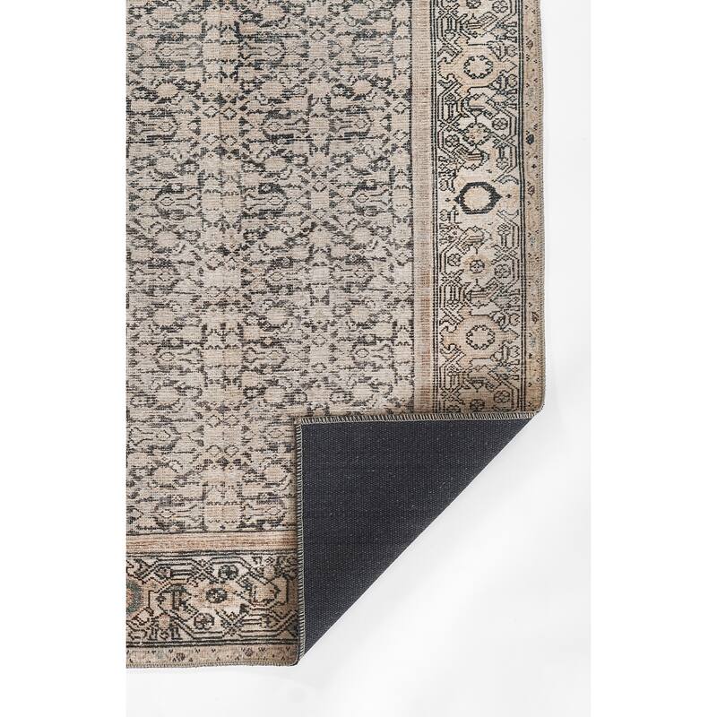 Momeni Ariana Traditional Oriental Polyester Area Rug