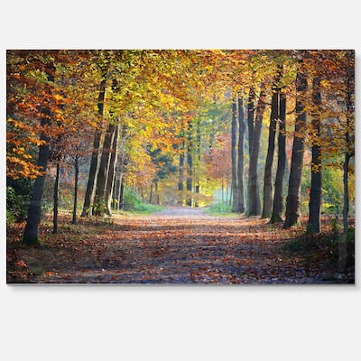 Wide Pathway in Yellow Fall Forest - Landscape Photo Glossy Metal Wall Art