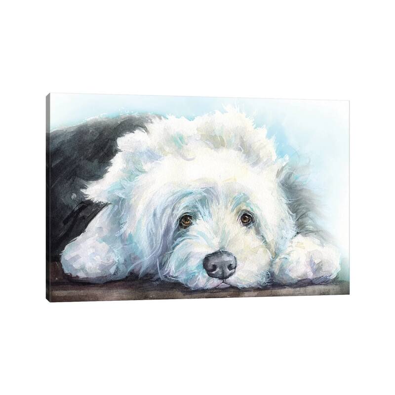 iCanvas "Old English Sheepdog Puppy" by George Dyachenko Canvas Print