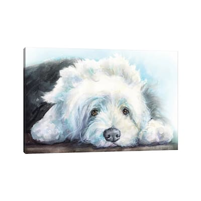 iCanvas "Old English Sheepdog Puppy" by George Dyachenko Canvas Print